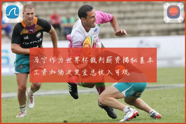 马宁作为世界杯裁判薪资揭秘基本工资加场次奖金总收入可观