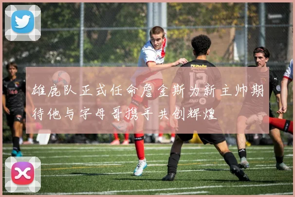 雄鹿队正式任命詹金斯为新主帅期待他与字母哥携手共创辉煌